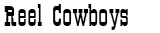 Go to the Reel Cowboys Website